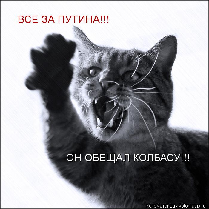 ВСЕ ЗА ПУТИНА!!! ОН ОБЕЩАЛ КОЛБАСУ!!!... Котоматрица: ВСЕ ЗА ПУТИНА!!! ОН ОБЕЩАЛ КОЛБАСУ!!!