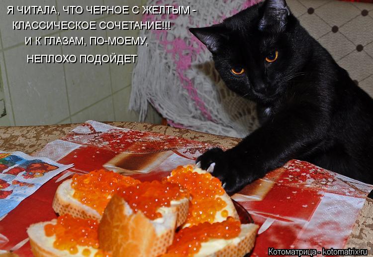 Я ЧИТАЛА, ЧТО ЧЕРНОЕ С ЖЕЛТЫМ - КЛАССИЧЕСКОЕ СОЧЕТАНИЕ!!! И К ГЛАЗАМ, ПО-МОЕМУ, НЕПЛОХО ПОДОЙДЕТ... Котоматрица: Я ЧИТАЛА, ЧТО ЧЕРНОЕ С ЖЕЛТЫМ - КЛАССИЧЕСКОЕ СОЧЕТАНИЕ!!! И К ГЛАЗАМ, ПО-МОЕМУ, НЕПЛОХО ПОДОЙДЕТ
