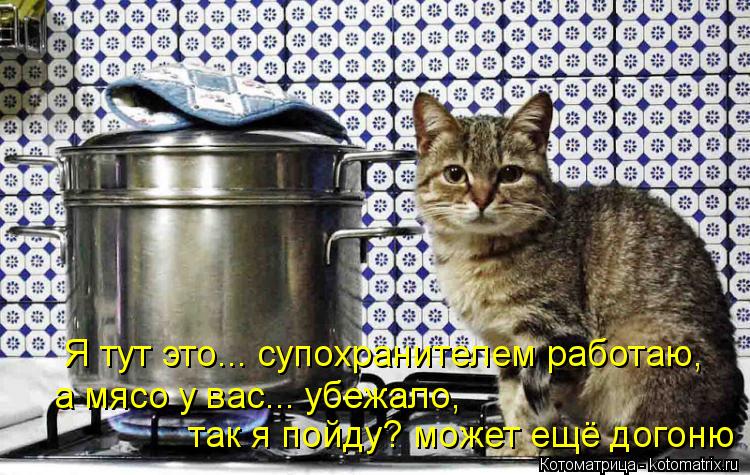 Я тут это... супохранителем работаю, а мясо у вас... убежало, так я пойду? может ещё догоню... Котоматрица: Я тут это... супохранителем работаю, а мясо у вас... убежало, так я пойду? может ещё догоню