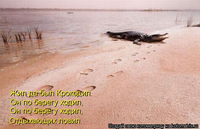 Жил да был Крокодил. Он по берегу ходил, Он по берегу ходил, Отдыхающих ловил.... Котоматрица: Жил да был Крокодил. Он по берегу ходил, Он по берегу ходил, Отдыхающих ловил.