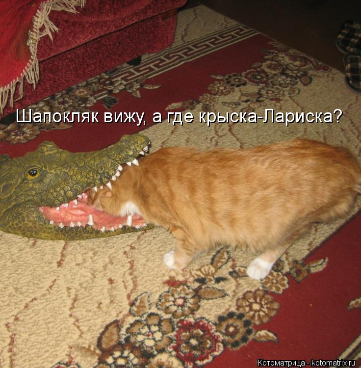 Шапокляк вижу, а где крыска-Лариска?... Котоматрица: Шапокляк вижу, а где крыска-Лариска?