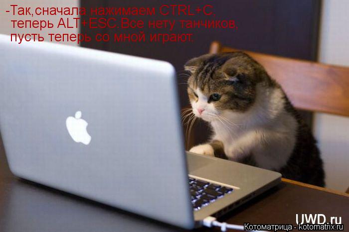 -Так,сначала нажимаем CTRL+C, теперь ALT+ESC.Все нету танчиков, пусть теперь со мной играют.... Котоматрица: -Так,сначала нажимаем CTRL+C, теперь ALT+ESC.Все нету танчиков, пусть теперь со мной играют.