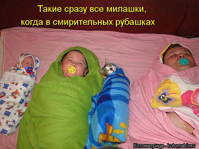 Такие сразу все милашки, когда в смирительных рубашках... Котоматрица: Такие сразу все милашки, когда в смирительных рубашках