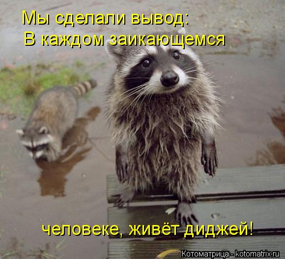 Мы сделали вывод: В каждом заикающемся человеке, живёт диджей!... Котоматрица: Мы сделали вывод: В каждом заикающемся человеке, живёт диджей!