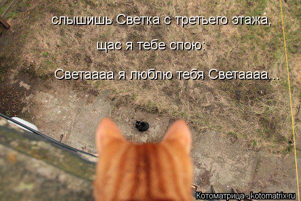 слышишь Светка с третьего этажа, щас я тебе спою: Светаааа я люблю тебя Светаааа...... Котоматрица: слышишь Светка с третьего этажа, щас я тебе спою: Светаааа я люблю тебя Светаааа...