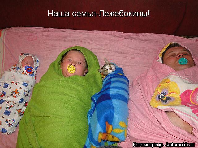 Наша семья-Лежебокины!... Котоматрица: Наша семья-Лежебокины!