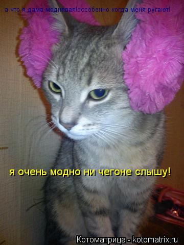 а что я дама моднявая!оссобенно когда меня ругают! я очень модно ни чегоне слышу!... Котоматрица: а что я дама моднявая!оссобенно когда меня ругают! я очень модно ни чегоне слышу!