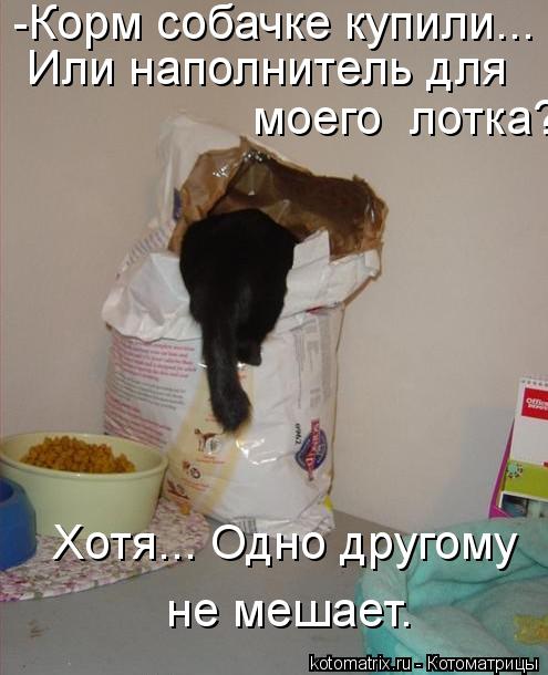 -Корм собачке купили... Нет... Или наполнитель для моего лотка? Хотя... Одно другому не мешает.... Котоматрица: -Корм собачке купили... Нет... Или наполнитель для моего лотка? Хотя... Одно другому не мешает.