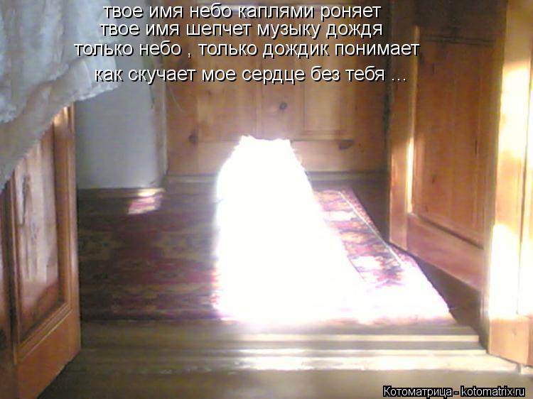 твое имя небо каплями роняет твое имя шепчет музыку дождя только небо , только дождик понимает как с... Котоматрица: твое имя небо каплями роняет твое имя шепчет музыку дождя только небо , только дождик понимает как скучает мое сердце без тебя ...