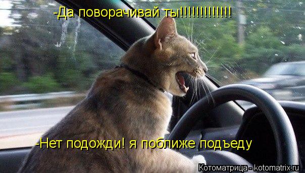 -Да поворачивай ты!!!!!!!!!!!!! -Нет подожди! я поближе подъеду... Котоматрица: -Да поворачивай ты!!!!!!!!!!!!! -Нет подожди! я поближе подъеду