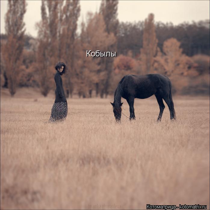 Кобылы... Котоматрица: Кобылы