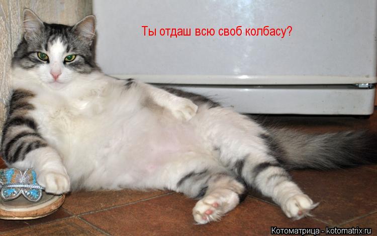 Ты отдаш всю своб колбасу?... Котоматрица: Ты отдаш всю своб колбасу?
