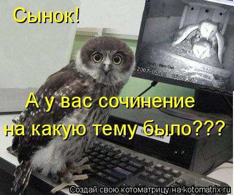 Сынок! А у вас сочинение на какую тему было???... Котоматрица: Сынок! А у вас сочинение на какую тему было???