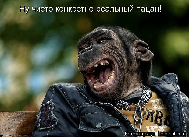 Котоматрица: Ну чисто конкретно реальный пацан!