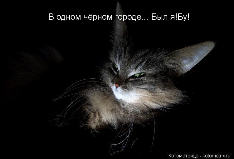 В одном чёрном городе... Был я!Бу!... Котоматрица: В одном чёрном городе... Был я!Бу!