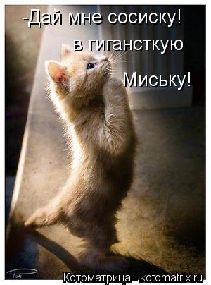 -Дай мне сосиску! в гигансткую Миську!... Котоматрица: -Дай мне сосиску! в гигансткую Миську!