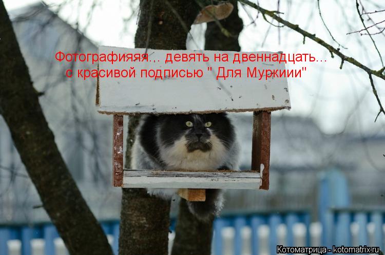 Фотографияяя... девять на двеннадцать... с красивой подписью " Для Муркиии"... Котоматрица: Фотографияяя... девять на двеннадцать... с красивой подписью " Для Муркиии"