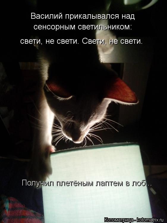 Василий прикалывался над сенсорным светильником: свети, не свети. Свети, не свети. Получил плетёным ... Котоматрица: Василий прикалывался над сенсорным светильником: свети, не свети. Свети, не свети. Получил плетёным лаптем в лоб...