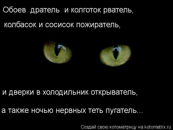 Обоев дратель и колготок рватель, колбасок и сосисок пожиратель, и дверки в холодильник открыватель... Котоматрица: Обоев дратель и колготок рватель, колбасок и сосисок пожиратель, и дверки в холодильник открыватель, а также ночью нервных теть пугатель...