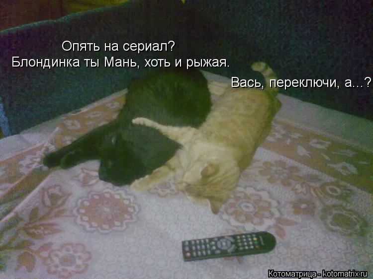 Вась, переключи, а...? Опять на сериал? Блондинка ты Мань, хоть и рыжая.... Котоматрица: Вась, переключи, а...? Опять на сериал? Блондинка ты Мань, хоть и рыжая.