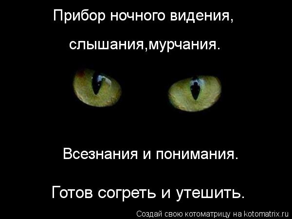Прибор ночного видения, слышания,мурчания. Всезнания и понимания. Готов согреть и утешить.... Котоматрица: Прибор ночного видения, слышания,мурчания. Всезнания и понимания. Готов согреть и утешить.