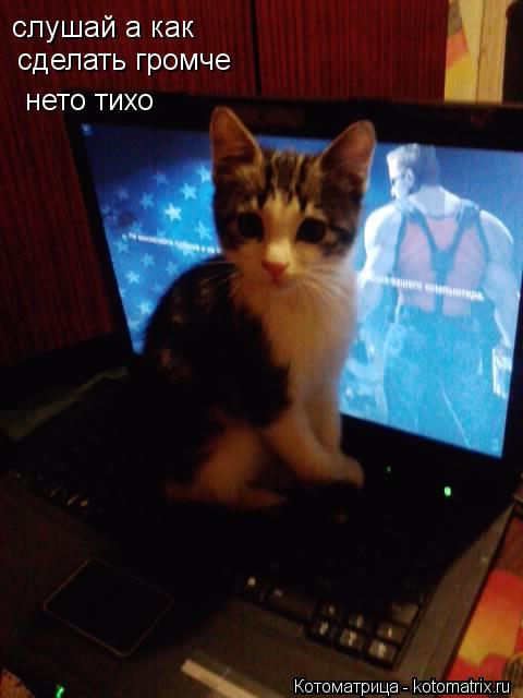 слушай а как сделать громче нето тихо... Котоматрица: слушай а как сделать громче нето тихо