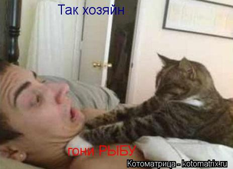 Так хозяйн гони РЫБУ... Котоматрица: Так хозяйн гони РЫБУ