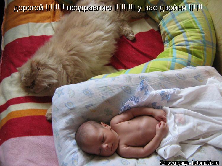 дорогой !!!!!!!! поздравляю !!!!!!!!! у нас двойня !!!!!!... Котоматрица: дорогой !!!!!!!! поздравляю !!!!!!!!! у нас двойня !!!!!!