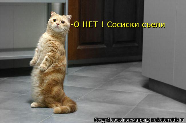 -О НЕТ ! Сосиски съели... Котоматрица: -О НЕТ ! Сосиски съели