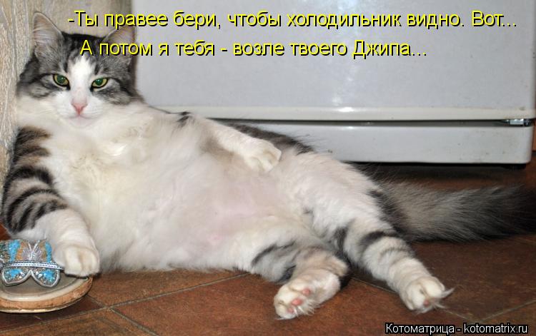 -Ты правее бери, чтобы холодильник видно. Вот... А потом я тебя - возле твоего Джипа...... Котоматрица: -Ты правее бери, чтобы холодильник видно. Вот... А потом я тебя - возле твоего Джипа...