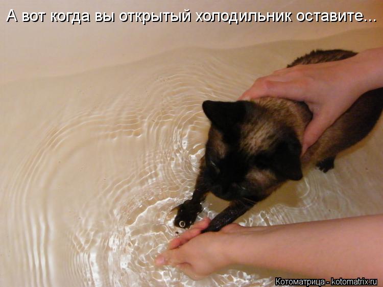 А вот когда вы открытый холодильник оставите...... Котоматрица: А вот когда вы открытый холодильник оставите...