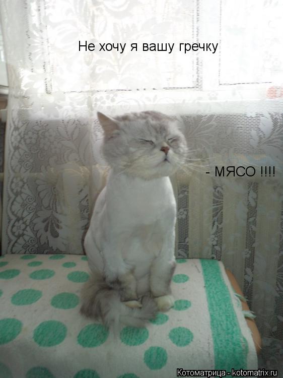 Не хочу я вашу гречку - МЯСО !!!!... Котоматрица: Не хочу я вашу гречку - МЯСО !!!!