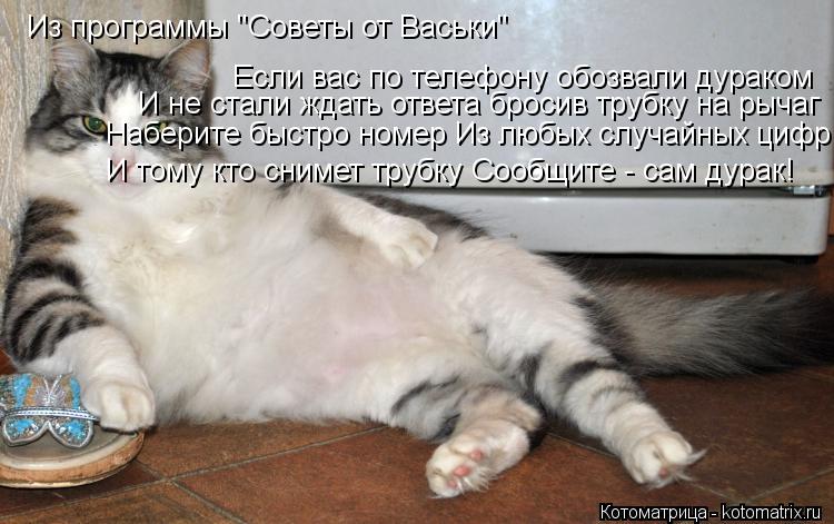Из программы "Советы от Васьки" Если вас по телефону обозвали дураком И не стали ждать ответа бросив ... Котоматрица: Из программы "Советы от Васьки" Если вас по телефону обозвали дураком И не стали ждать ответа бросив трубку на рычаг Наберите быстро номер И