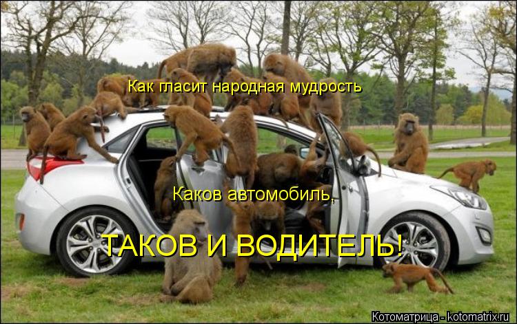 Каков автомобиль, ТАКОВ И ВОДИТЕЛЬ! Как гласит народная мудрость... Котоматрица: Каков автомобиль, ТАКОВ И ВОДИТЕЛЬ! Как гласит народная мудрость