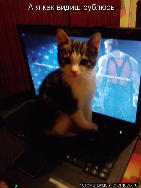 А я как видиш рублюсь... Котоматрица: А я как видиш рублюсь