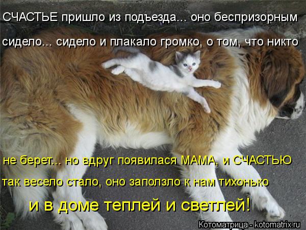 СЧАСТЬЕ пришло из подъезда... оно беспризорным сидело... сидело и плакало громко, о том, что никто н... Котоматрица: СЧАСТЬЕ пришло из подъезда... оно беспризорным сидело... сидело и плакало громко, о том, что никто не берет... но вдруг появилася МАМА, и СЧАСТЬ
