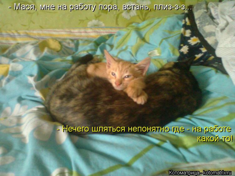 - Мася, мне на работу пора, встань, плиз-з-з... - Нечего шляться непонятно где - на работе какой-то!... Котоматрица: - Мася, мне на работу пора, встань, плиз-з-з... - Нечего шляться непонятно где - на работе какой-то!