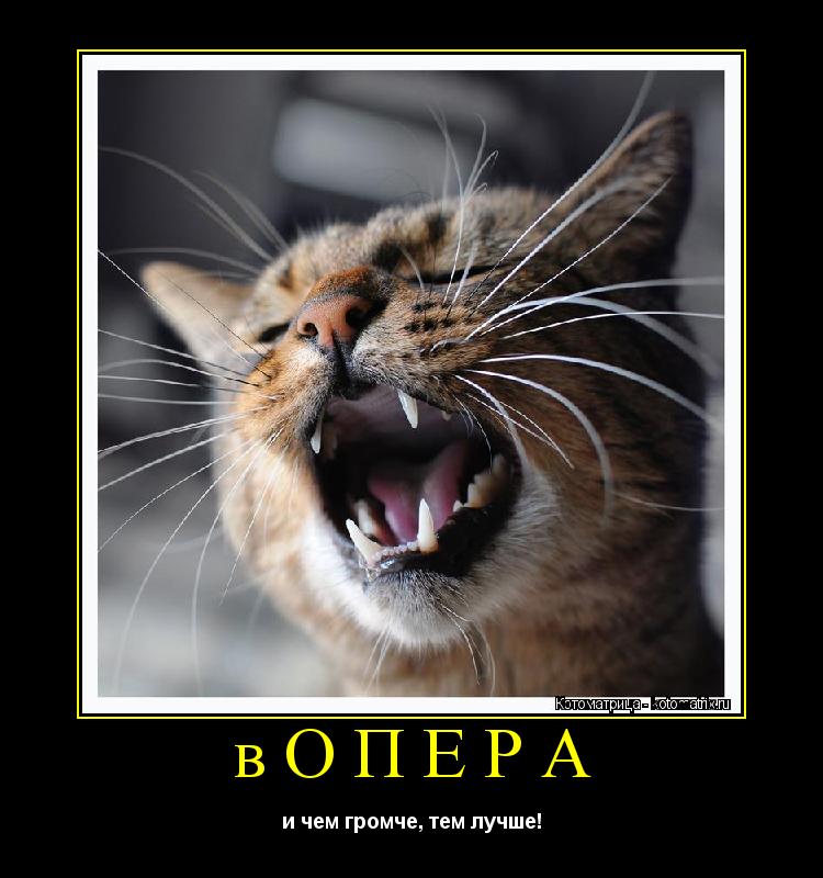 вОПЕРА и чем громче, тем лучше!... Котоматрица: вОПЕРА и чем громче, тем лучше!