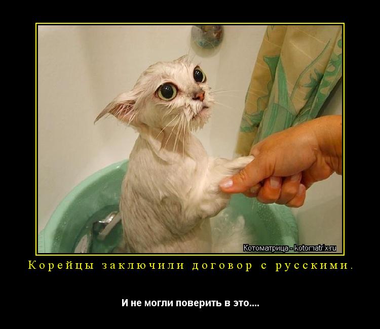 Корейцы заключили договор с русскими. И не могли поверить в это....... Котоматрица: Корейцы заключили договор с русскими. И не могли поверить в это....