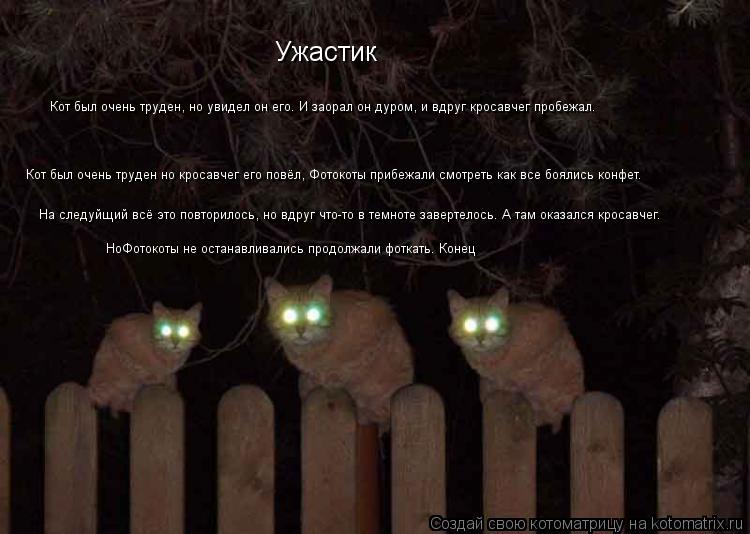 Ужастик Кот был очень труден, но увидел он его. И заорал он дуром, и вдруг кросавчег пробежал. Кот бы... Котоматрица: Ужастик Кот был очень труден, но увидел он его. И заорал он дуром, и вдруг кросавчег пробежал. Кот был очень труден но кросавчег его повёл, Фо