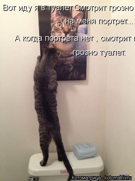 Вот иду я в туалет.Смотрит грозно на меня портрет... А когда портрета нет , смотрит грозно туалет. гр... Котоматрица: Вот иду я в туалет.Смотрит грозно на меня портрет... А когда портрета нет , смотрит грозно туалет. грозно туалет.