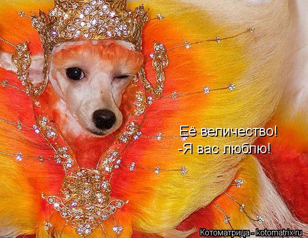 Её величество! -Я вас люблю!... Котоматрица: Её величество! -Я вас люблю!