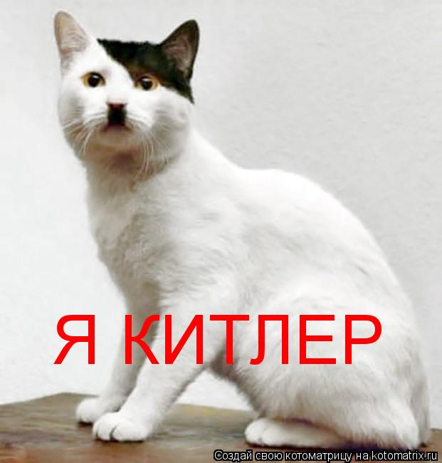 Я КИТЛЕР... Котоматрица: Я КИТЛЕР