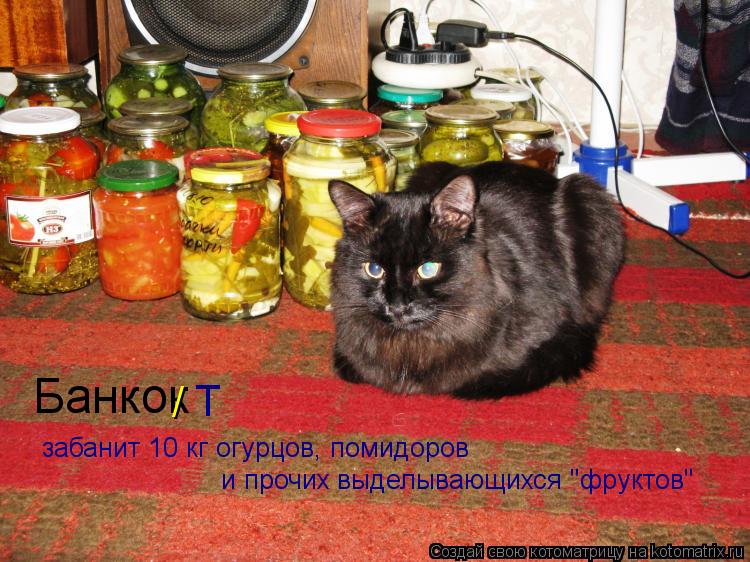 Банкок / Т забанит 10 кг огурцов, помидоров и прочих выделывающихся "фруктов"... Котоматрица: Банкок / Т забанит 10 кг огурцов, помидоров и прочих выделывающихся "фруктов"