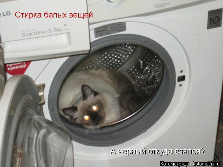 Стирка белых вещей Стирка белых вещей А черный откуда взялся?... Котоматрица: Стирка белых вещей Стирка белых вещей А черный откуда взялся?