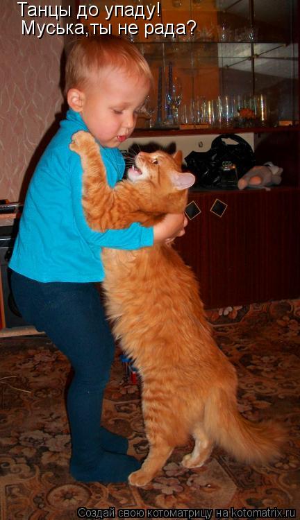 Танцы до упаду! Муська,ты не рада?... Котоматрица: Танцы до упаду! Муська,ты не рада?