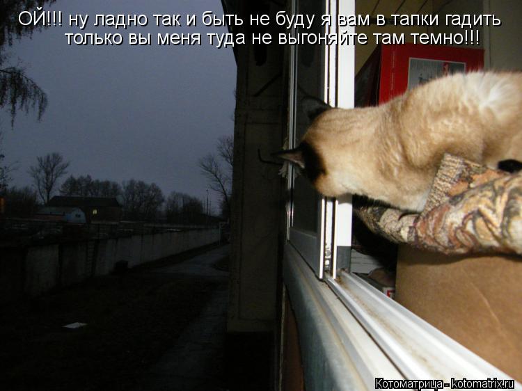 ОЙ!!! ну ладно так и быть не буду я вам в тапки гадить только вы меня туда не выгоняйте там темно!!!... Котоматрица: ОЙ!!! ну ладно так и быть не буду я вам в тапки гадить только вы меня туда не выгоняйте там темно!!!