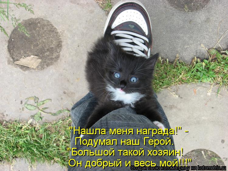 "Нашла меня награда!" - Подумал наш Герой. "Большой такой хозяин! Он добрый и весь мой!!!"... Котоматрица: "Нашла меня награда!" - Подумал наш Герой. "Большой такой хозяин! Он добрый и весь мой!!!"