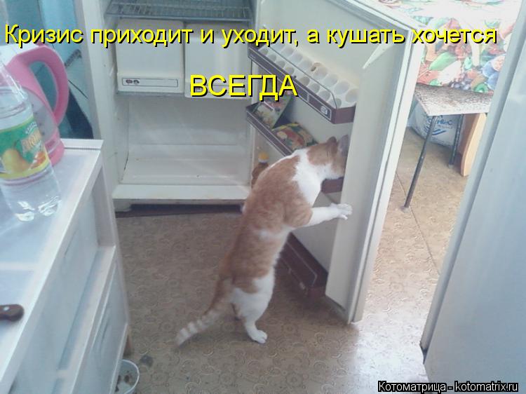 Кризис приходит и уходит, а кушать хочется ВСЕГДА... Котоматрица: Кризис приходит и уходит, а кушать хочется ВСЕГДА