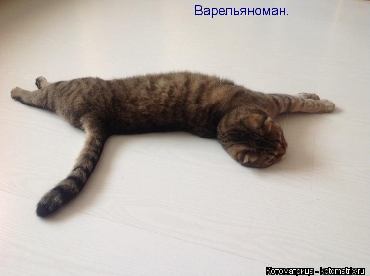 Варельяноман.... Котоматрица: Варельяноман.
